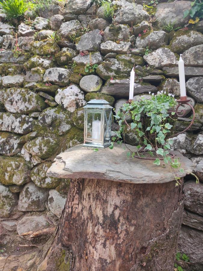 Le Secret du Moulin, agréable tiny house Villefort Villefort  Extérieur photo